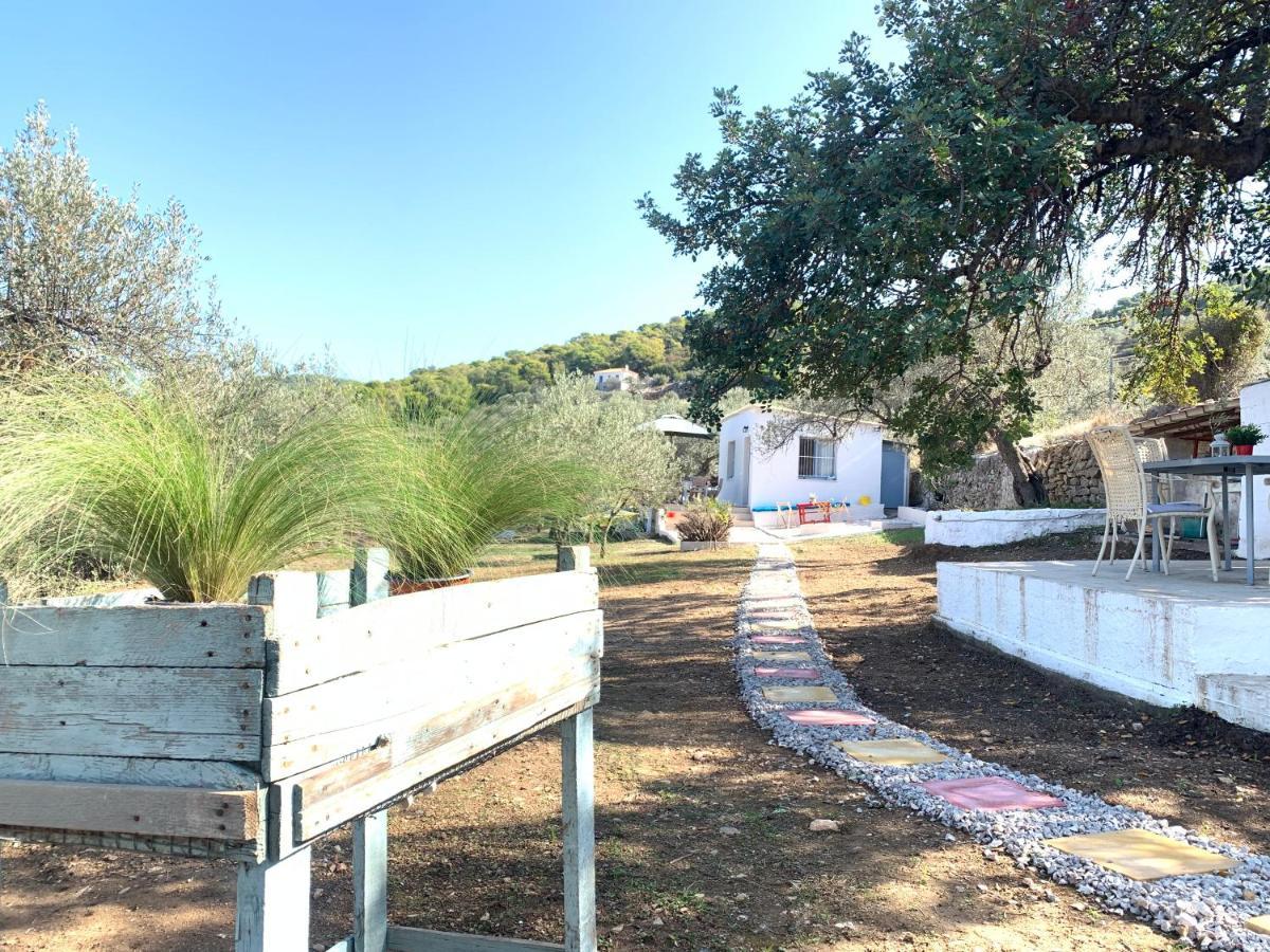 Olive Hill Private House Villa Poros Town Exterior photo